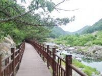 영동군 황간면 월류봉 둘레길 걸어볼까?