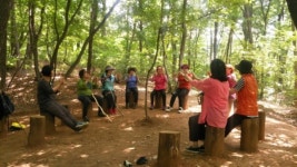 성남시, 산림 치유 숲에서 즐기는 건강 나들이 진행