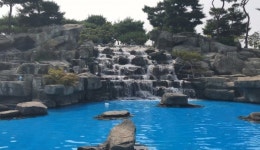 문암생태공원 수경시설 더위에 최고