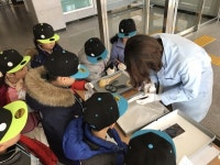 대전시립박물관, 선사박물관 여름방학 다양한 체험프로그램 운영
