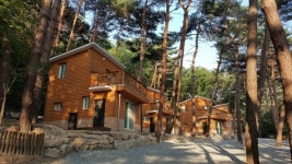 충북 조령산 자연휴양림 물놀이장 개장