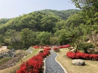 음성군, 백야목재문화체험장-백야수목원 개장식 개최