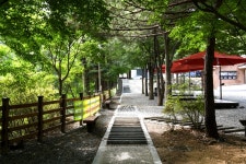 [포토특집] 옥천군 장령산자연휴양림 치유의 숲