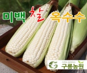 [우리농산물] 구룡농원, 윤용아 이연숙 부부-충주사과 최고!