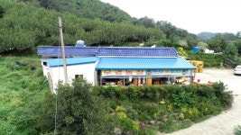 [우리농산물] 옥천군 우경농장, 9월에 배 꽃이 피다