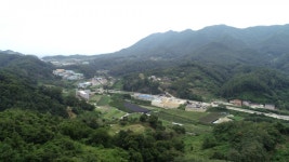 [우리농산물] 옥천군 우경농장, 9월에 배 꽃이 피다