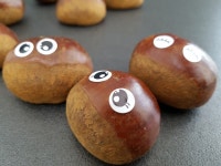 [우리농산물] 충주 지구네 밤 농원...김경일 권정아 부부