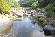 [포토] 옥천 장령산자연휴양림 추석 무료개방