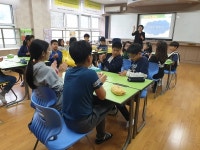 백봉초, 통일 좋아요, 통일교육 실시