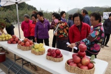 영동군 양강면 죽촌리, 제1회 죽촌 사과드림 한마당 축제