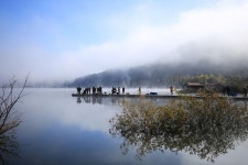 [영상 / 포토] 괴산군, 제5회 은행나무마을축제 성료
