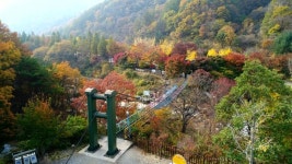 울긋불긋 단풍옷으로 갈아입은 옥천 장령산자연휴양림