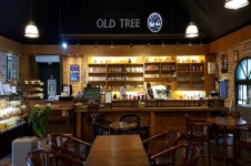 [맛집소개] 옥천군, 뿌리깊은나무 & 카페 Old tree