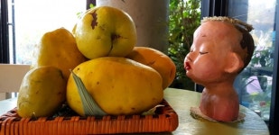 [영상 / 포토] 옥천군 이원면 장찬리, 농·특산물판매장 休(휴) 조성