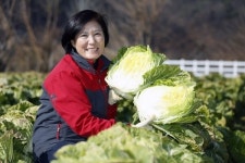 충주 구룡농원 절임배추 입소문 타 고(GO) 서울로 GO~