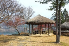 [영상 / 포토] 제천시, 청풍문화재단지 탐방