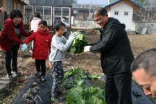 단양 대가초, 사랑의 배추 나눔 행사