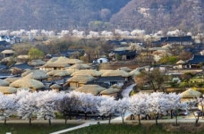 안동 하회마을, 5년 연속 관람객 100만 명 돌파