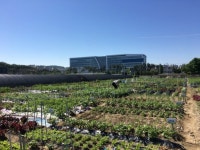 성남시민농원 실버텃밭 신청하세요