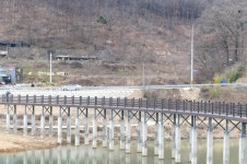 [포토뉴스] 이원면 장찬리 소나무 갤러리 카페