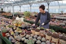 영동군, 상쾌한 바람과 따뜻한 햇살 머금은 다육이 농장