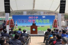 영동군, 이장 체육대회 개최, 지역사회 새 활력