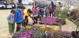 삼양유, 옥천 묘목 축제에서 초록빛 감성을 틔워요
