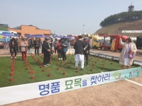 [영상뉴스] 제20회 옥천묘목축제, 7만여명 방문 대성공 마무리