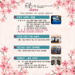 속초시, 상도문 벚꽃축제 속 마을 문화체험 가득