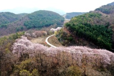 [명소탐방] 옥천군, 대청호 전망좋은 펜션 카페