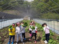 영동군 금성어린이집, 2019 어린이집 식생활교육 공모 선정