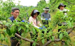 충북농기원, 찾아가는 농촌현장병원 운영