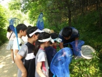 서울시, 길동생태공원에서 반딧불이 축제 개최