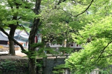 [포토뉴스] 제23회 전국교정인불자연합회 마곡사 수련회