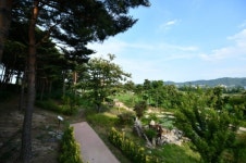 설악산자생식물원, 숲박물관 숲체험교실 인기