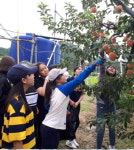 영동 정보화마을 눈길