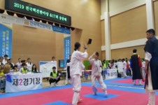 전국 택견인들의 잔치... 충주서 열려