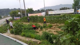 영동군 심천면 주민자치위원회, 주민 쉼터 가꾸기 '구슬땀'