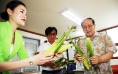신천지 대전교회, 서구 노인정 16곳에 옥수수·감자 전달