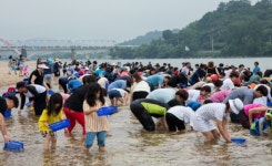 글로벌 축제로 도약하는 섬진강문화 재첩축제 성료