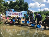 옥천군, 토종어류 쏘가리 치어 1만2천마리 대청호에 방류