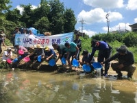 옥천군, 토종어류 쏘가리 치어 1만2천마리 대청호에 방류