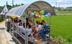 논산시 강경읍 제7회 콩밭열무축제 개최