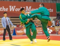 충북도, 무예를 통일하다 통일무도