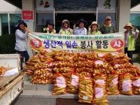 음성군 삼성면 주민자치위원회 사랑의 옥수수 수확