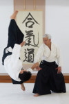 충북도, 평화의 일본무예, 합기도(Aikido)