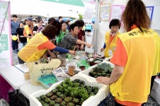 2019 제천 자원봉사 재능나눔 체험박람회 개최