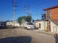 청정 지역 영동, 아프리카돼지열병 만반의 준비