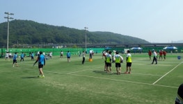 안동사과·한우배 생활체육 족구대회 개최