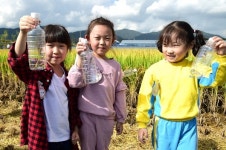 [포토뉴스] 제천시, 메뚜기·미꾸라지 잡기 체험 실시